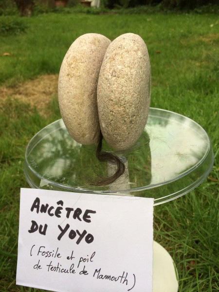 2yoyo