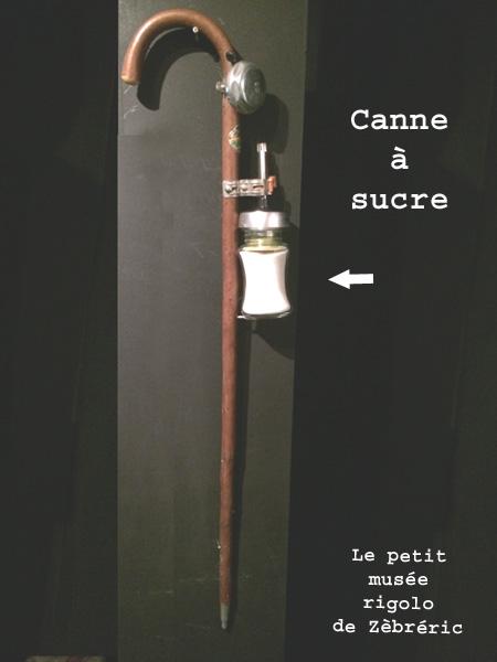 canne.sucre