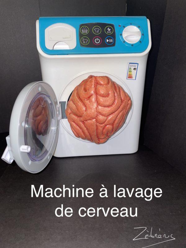 « Lavage à 90 ? » objet rigolo du dimanche N*355 du #petitmuséerigolo de #Zèbréric  Le Petit Musée Rigolo de Zèbréric #cerveau #brainpower #lavagedecerveau #liberté #conscience