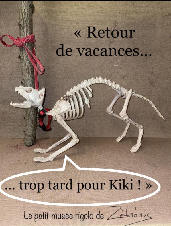 « Retour de vacances » objet rigolo du dimanche N*354 (remake du N*177). #animaux #humournoir #abandon #vacances #chien #chat
