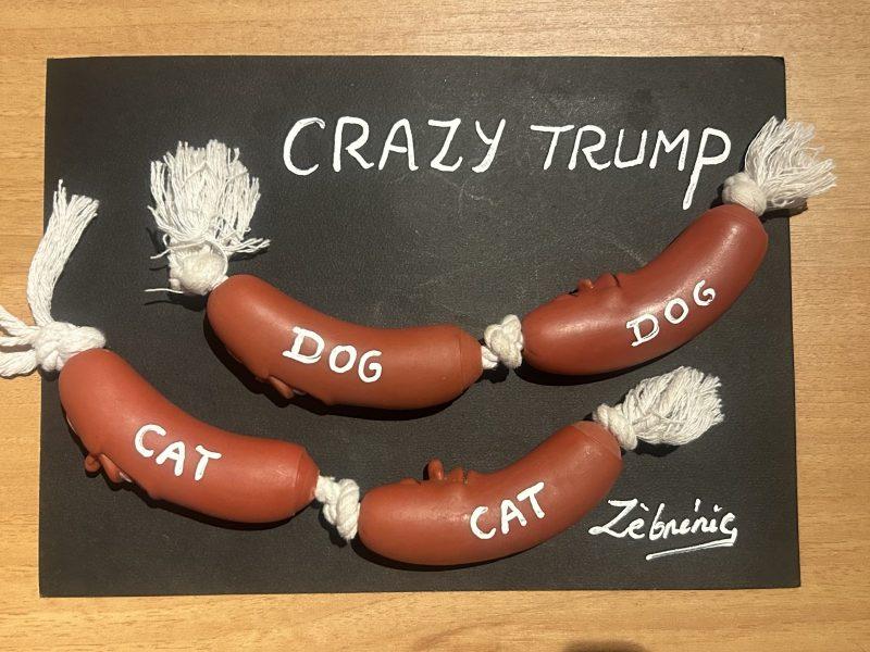 «Springfield » objet du dimanche N*432 – du #petitmuséerigolo de #zèbréric #Trump #crazy #Springfield #eatingthedogs #eatingthecats