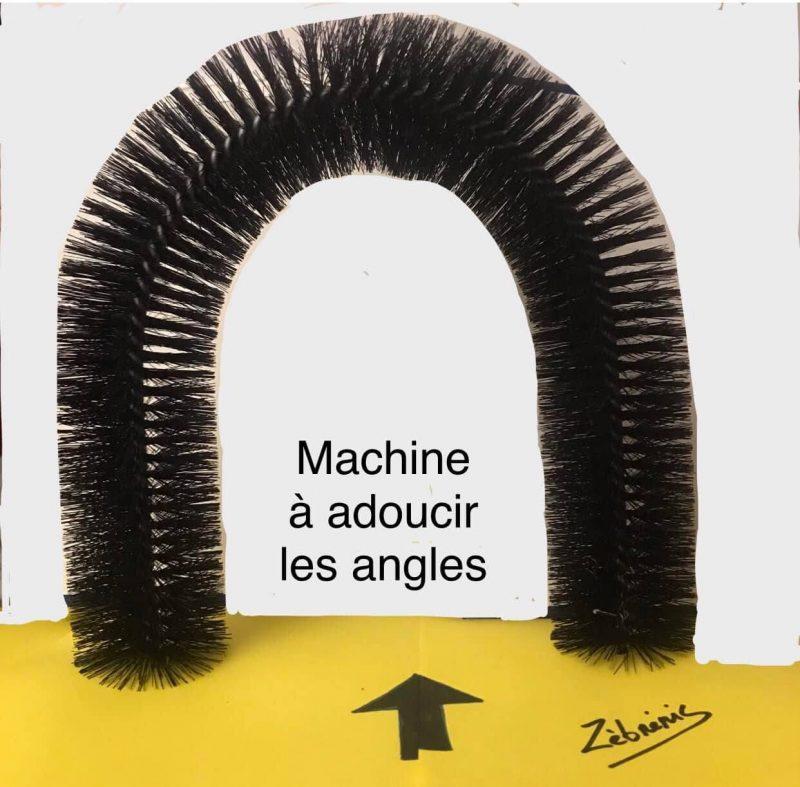 Objet rigolo N*376/454 du dimanche –  le #petitmuséerigolo de #zèbréric #languefrançaise #douceur