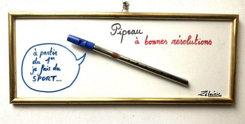 Un instrument à bonnes résolutions ? Est ce vous en jouez ? Connaissez vous un(e) musicien(ne) ? objet rigolo du dimanche N*105 /458 du #petitmuséerigolo de #zèbréric #bonneannée #bonnesresolutions #sport