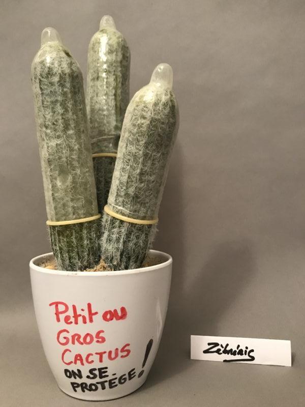 «Protège-cactus » objet rigolo du dimanche – pièce N*289 du #PetitMuséeRigolo #1erDecembre #journeemondialedeluttecontrelesida #Sida #AIDS #prévention #préservatif #condom 