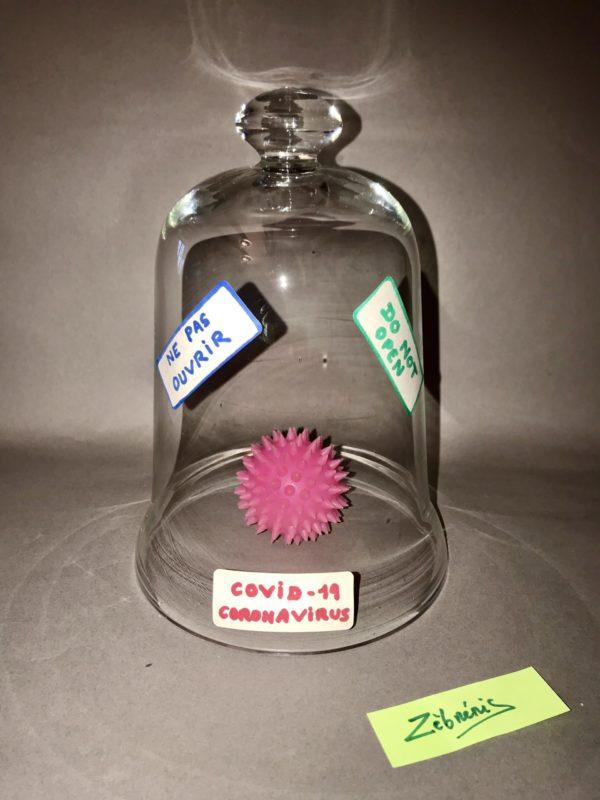 « Sous cloche ? Under glass ? » – objet rigolo du dimanche N*299 du #PetitMuséeRigolo #FunnyLittleMuseum #covid19 #coronavirus