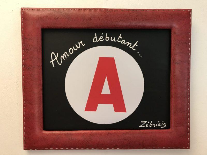 « Première idylle » – objet rigolo du dimanche – #petitmuséerigolo de #zèbréric N*361 #premieramour #adolescence #romantisme #poésie #amour #idylle