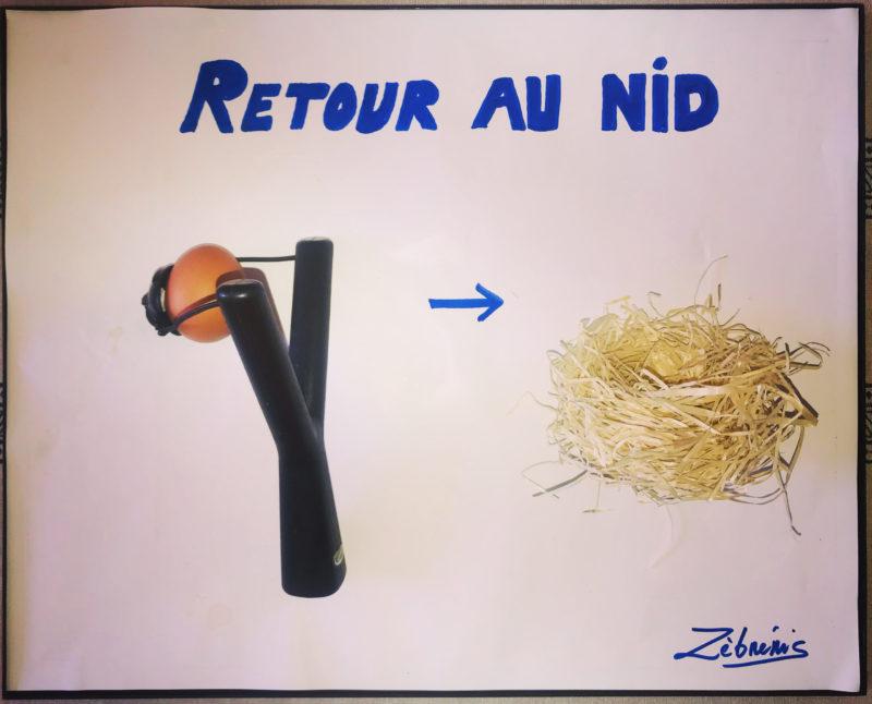 « Retour au nid » objet rigolo du dimanche N*370 le #petitmuséerigolo de #zèbréric #retourdevacances #vacances2021