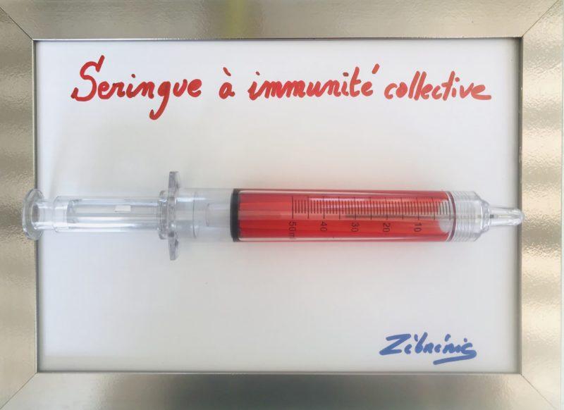 « Seringue de 30 cm » objet rigolo du dimanche N*369 du #petitmuséerigolo de #zèbréric #immunité #immunitécollective #COVID19