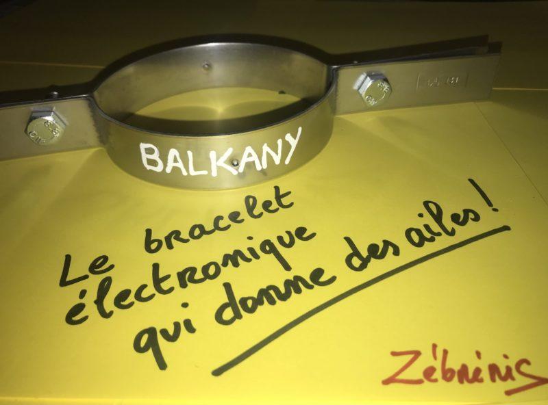 « Joaillerie de Levallois-Perret » objet rigolo du dimanche N*380 le #petitmuséerigolo de #zèbréric #Balkany #BraceletÉlectronique #respect #justice