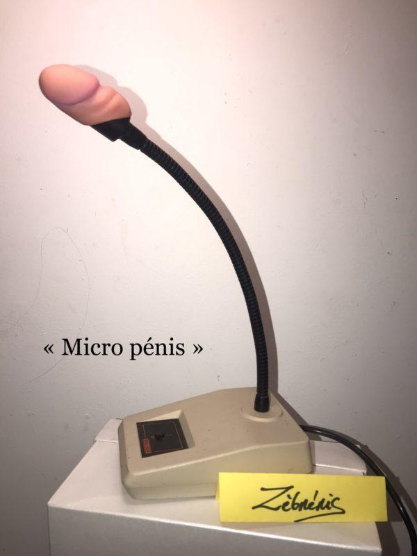 « Micro pénis » – objet rigolo du dimanche N*385 – le #petitmuséerigolo de #zèbréric #sono #sonorisation #micro #humourcoquin #humournoir