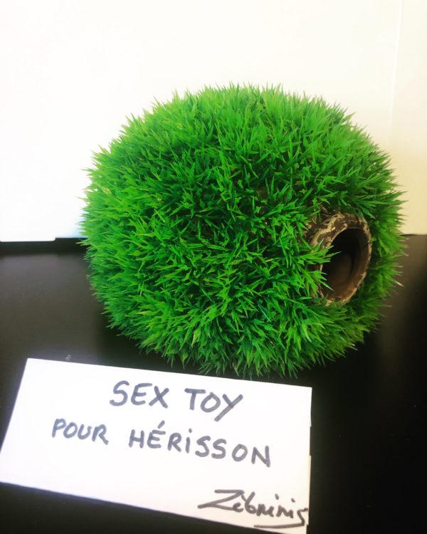 « Sex toy pour hérisson » objet rigolo du dimanche N*392 du #petitmuséerigolo de #zèbréric