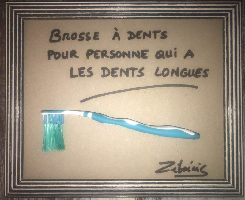 « Brosse à dents pour arriviste » objet rigolo N*343 du dimanche du #petitmuséerigolo de #zèbréric