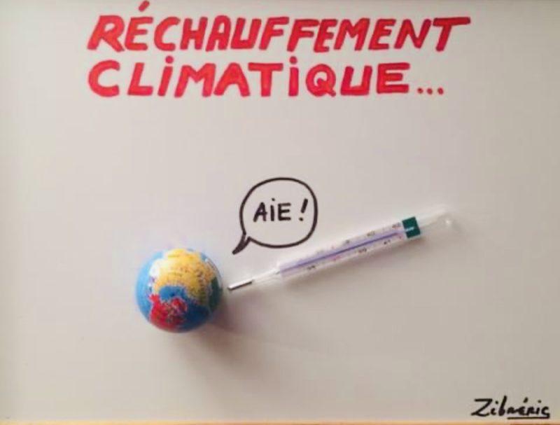 « Réchauffement climatique » objet du dimanche du #petitmuséerigolo de #zèbréric Pièce N*149 – #incendie #canicule #globalwarming #heatwave #humournoir #humour