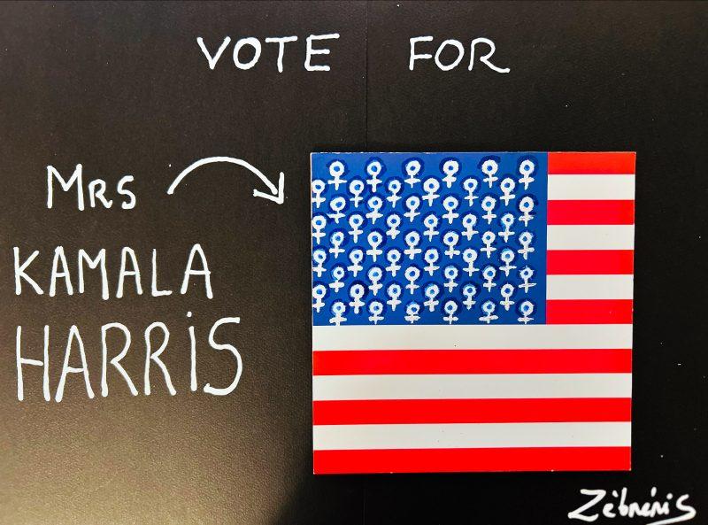 « Vote for Kamala Harris » #Harris2024 #kamalaharris objet du dimanche N*427 du #petitmuséerigolo de #zèbréric #littlefunnymuseum