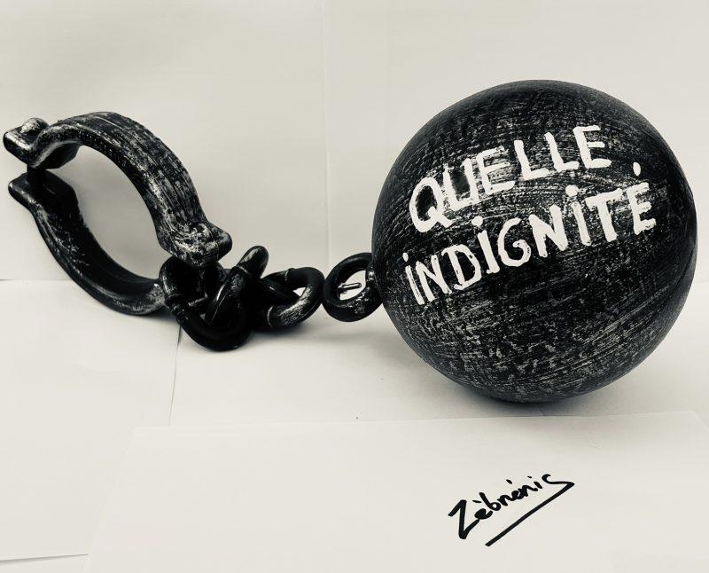 Actualité avec un brin d’humour ! Objet rigolo du dimanche N*452 du #petitmuséerigolo de #zèbréric
